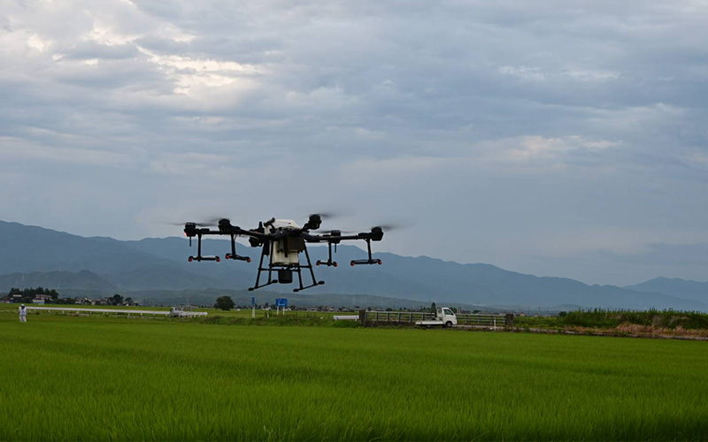 適期作業による病害虫被害の低減