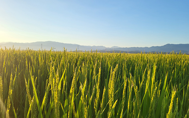 搬送事業とは？