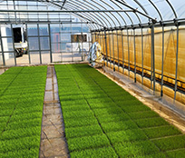 農業を仕事にする