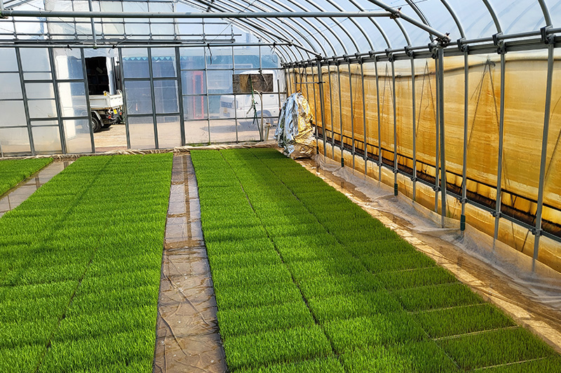 社会を支える“食”の現場で働くやりがい